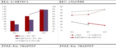 澜起科技 内存接口芯片设计公司 电子行业科创板系列报告之二